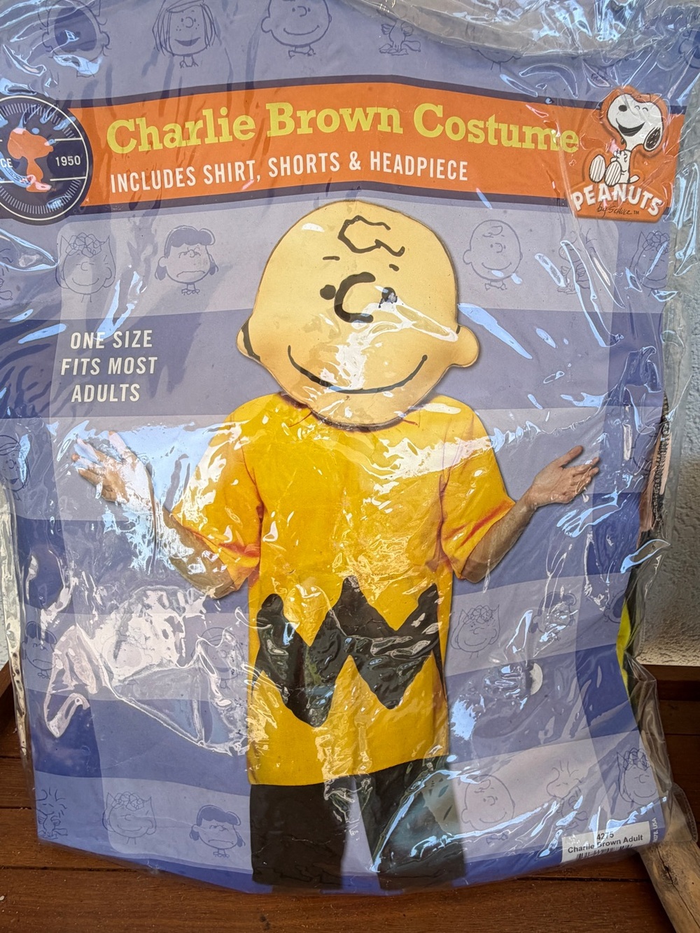 Kids Costumes - Charlie Brown